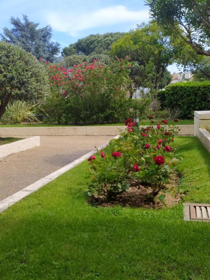 Eden Golfe Plages A Pieds Parking Prive Vallauris Exteriör bild